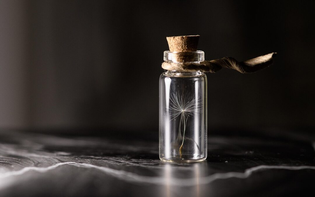 Help, weer een nieuwe leidinggevende!