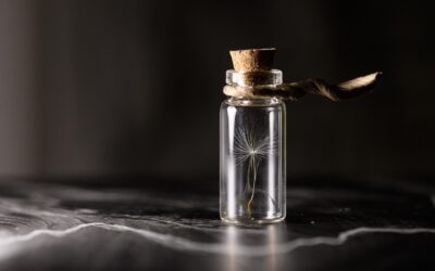 Help, weer een nieuwe leidinggevende!