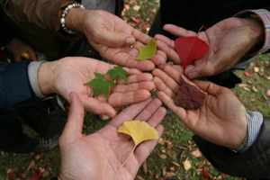 Vijf handen die samen gekleurde herfstbladeren vasthouden, symbool voor de ongeschreven regels in een team